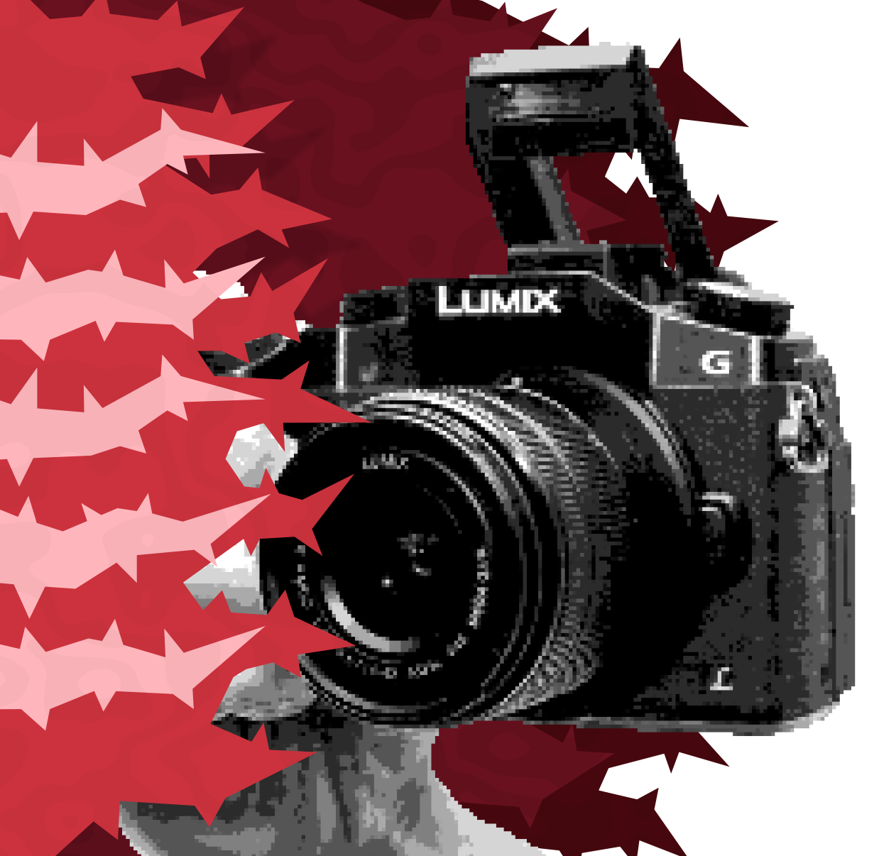 Appareil photo/caméra Panasonic Lumix