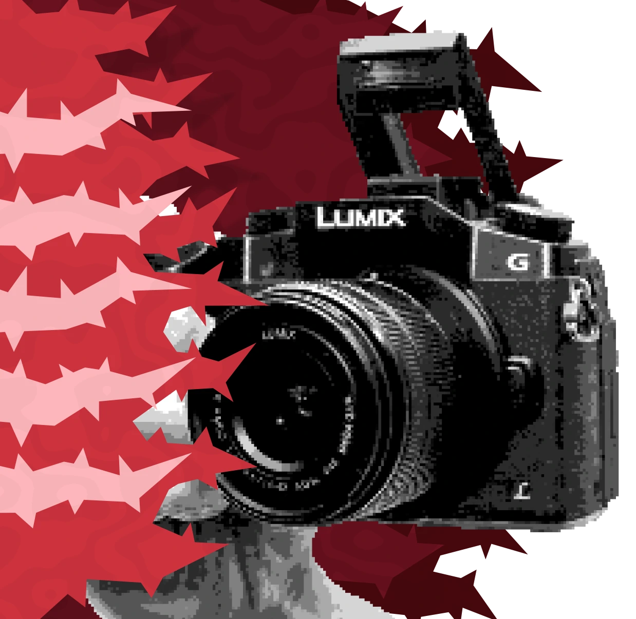 Appareil photo/caméra Panasonic Lumix